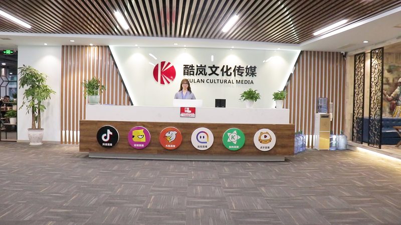 媒介投放代理加盟，如何把握利润增长点？**