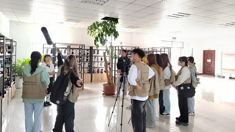 品牌策划与设计：案例解析背后的策略与技巧